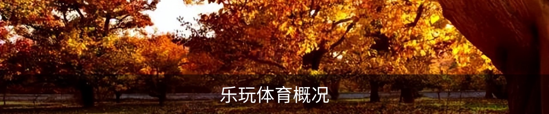 内页banner